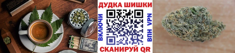 купить   Поворино  Canna-Cookies конопля 