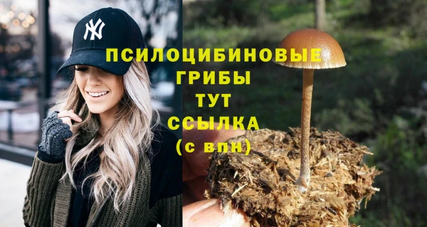 таблы Волосово