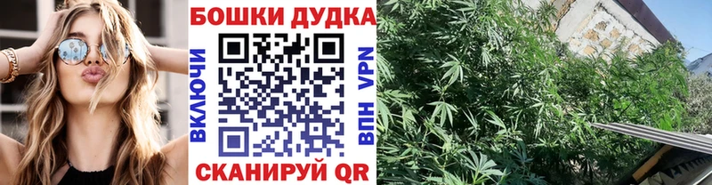 купить наркотики сайты  Поворино  Бошки марихуана OG Kush 